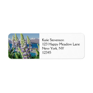 Flowering Lupine New Zealand Landscape Label