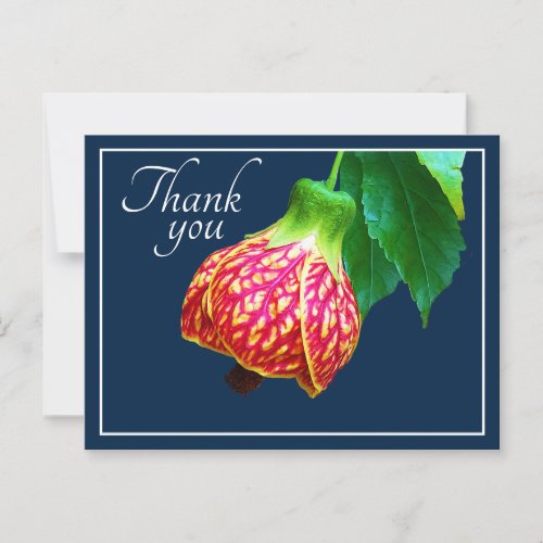 Flowering Maple Flower Blue Background Thank You Postcard