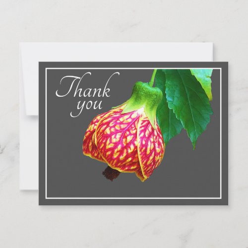 Flowering Maple Flower Gray Background Thank You Postcard