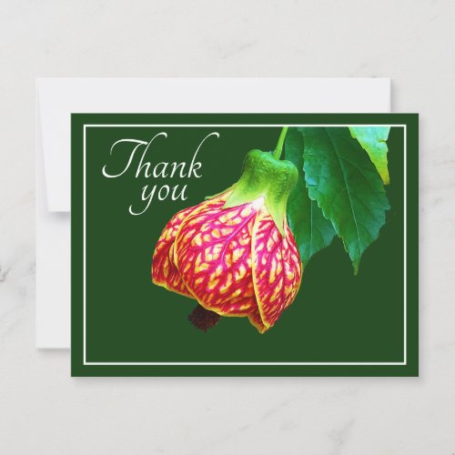 Flowering Maple Flower Green Background Thank You Postcard
