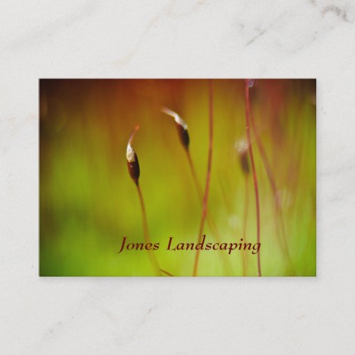 Customizable Flowering Moss Nature Business Cards