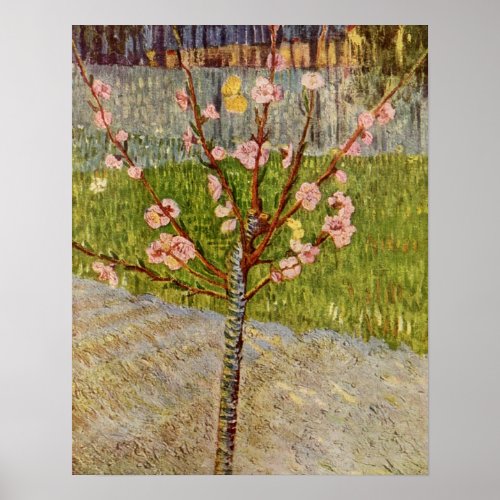 Flowering Peach Tree by Vincent Willem van Gogh Poster