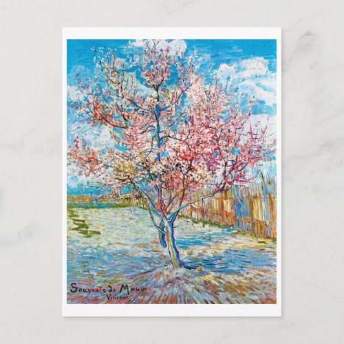 Flowering Peach Tree Van Gogh Postcard