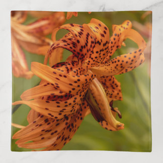 Flowering Petals Trinket Tray