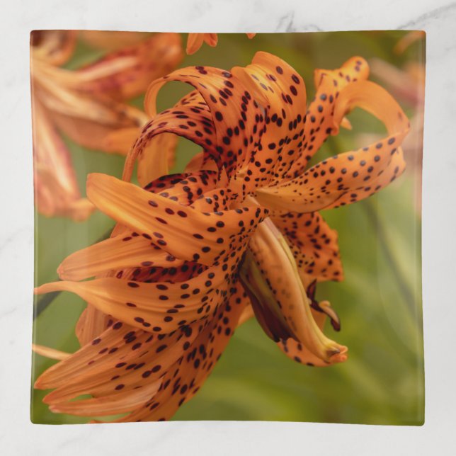 Flowering Petals Trinket Tray (Front)
