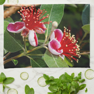 Flowering Pineapple Guava / Guavasteen Kitchen Towel