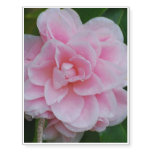 Flowering Pink Camelia Temporary Tattoos