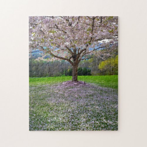 Flowering Pink Cherry Blossom Tree with Woods Jigsaw Puzzle