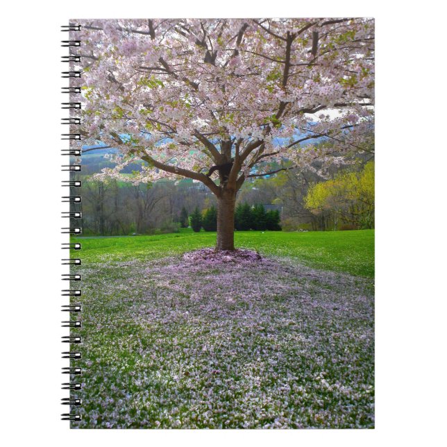 Flowering Pink Cherry Blossom Tree with Woods Notebook (Front)