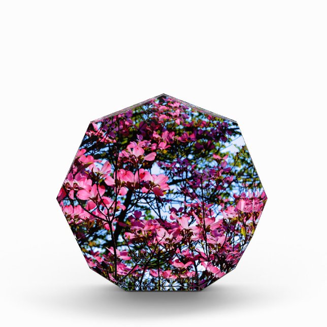 Flowering pink Dogwood tree Award (Front)