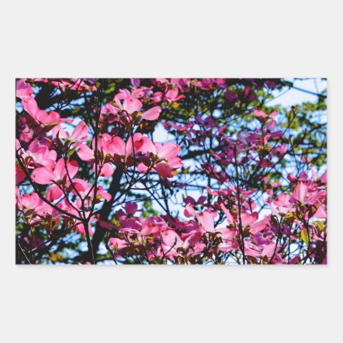 Flowering pink Dogwood tree Rectangular Sticker