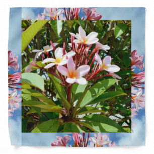 Flowering Pink Frangipani Tree, Bandana