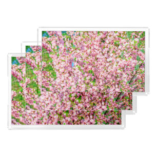 Flowering Plum Acrylic Tray
