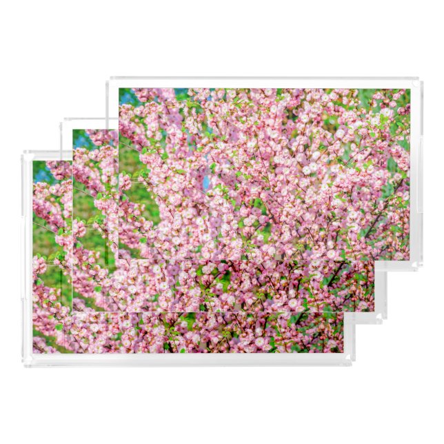 Flowering Plum Acrylic Tray (Set)
