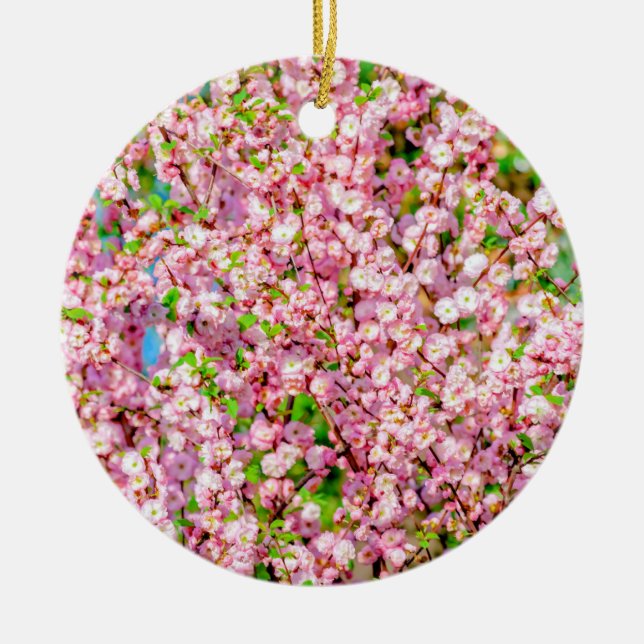 Flowering Plum Ceramic Ornament (Front)