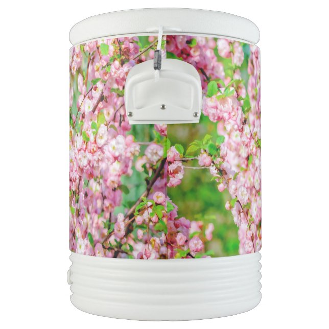 Flowering Plum Cooler (Right)