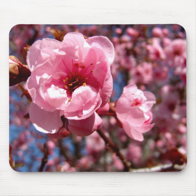 Flowering Plum Mouse Pad (Front)
