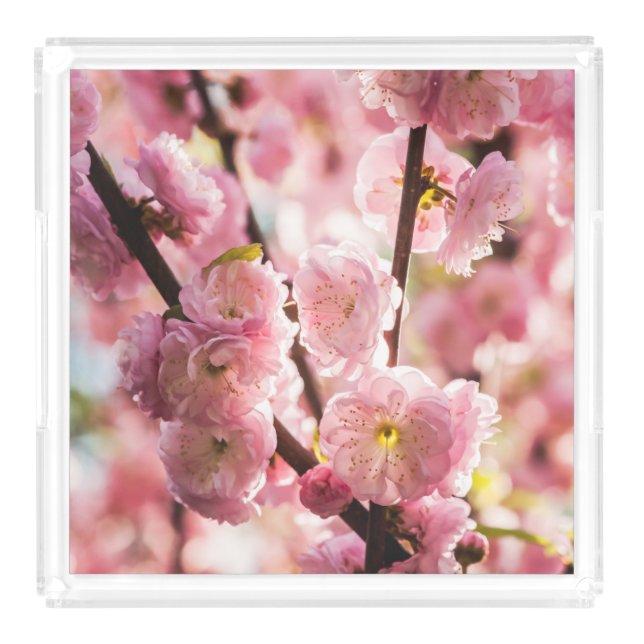 Flowering Plum - Pink Paradize Acrylic Tray (Large)