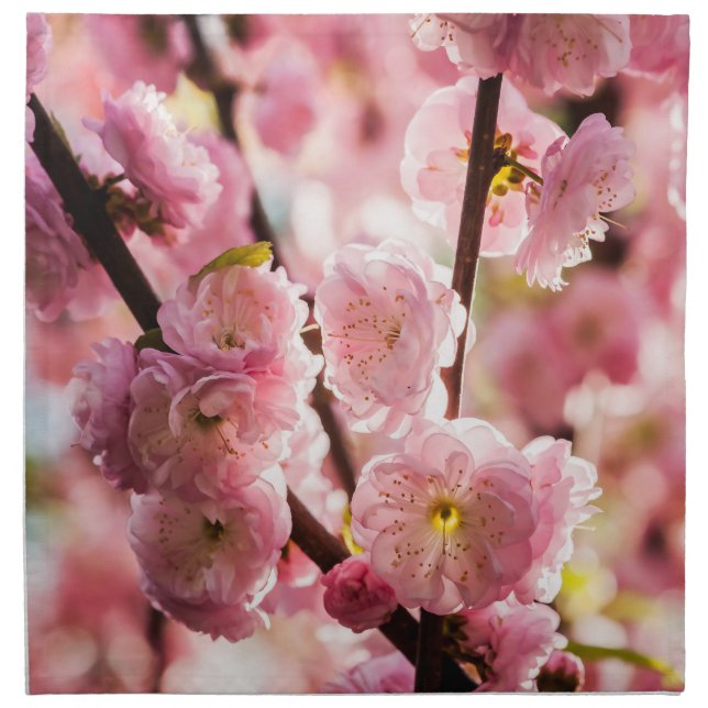 Flowering Plum - Pink Paradize Cloth Napkin (Front)