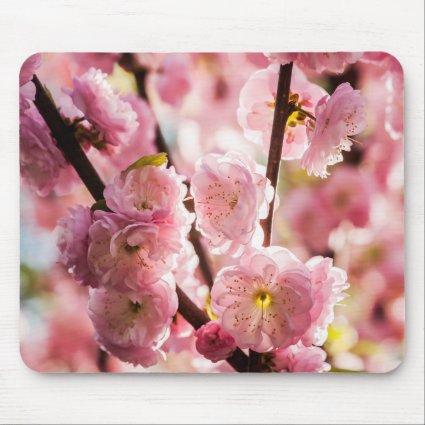 Flowering Plum - Pink Paradize Mouse Pad