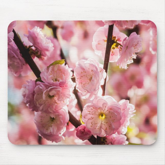 Flowering Plum - Pink Paradize Mouse Pad (Front)