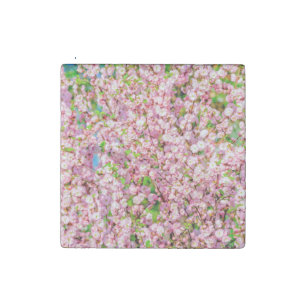 Flowering Plum Stone Magnet