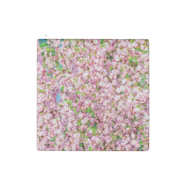 Flowering Plum Stone Magnet (Second Magnet)