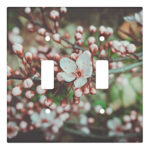 Flowering Plum Tree Light Switch Cover