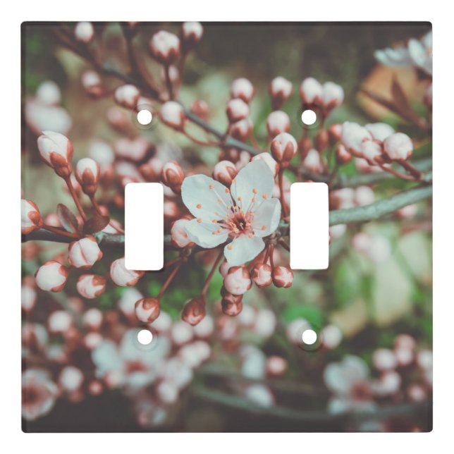 Flowering Plum Tree Light Switch Cover (Front)