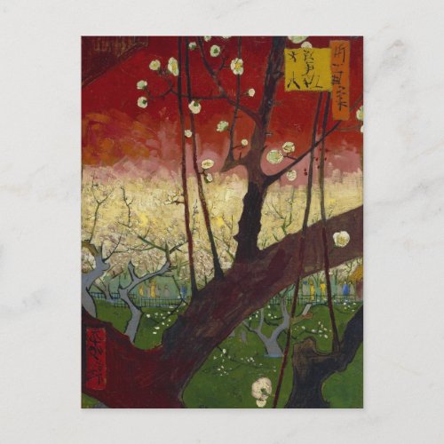 Flowering plum tree Postcard