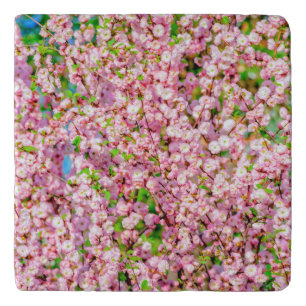 Flowering Plum Trivet