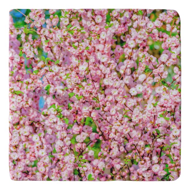 Flowering Plum Trivet (Front)