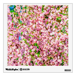 Flowering Plum Wall Sticker