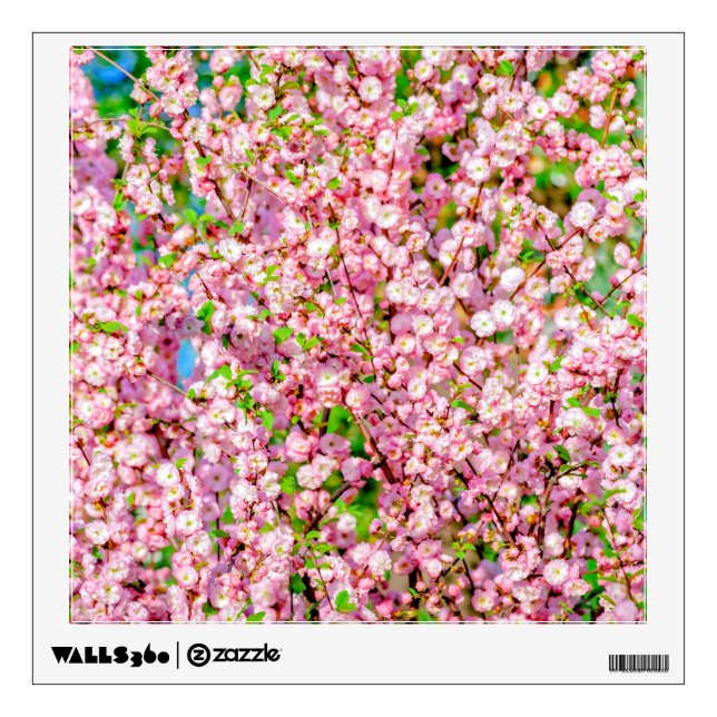 Flowering Plum Wall Sticker (Front)