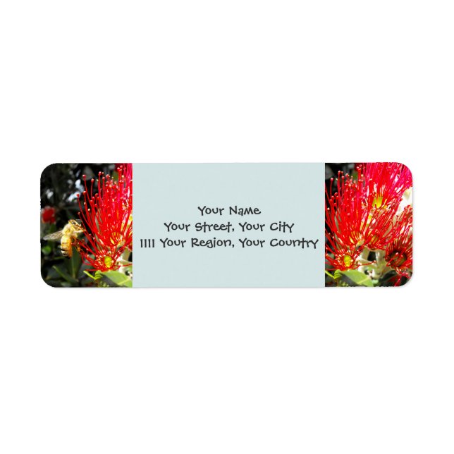 Flowering Pohutukawa Tree Label (Front)