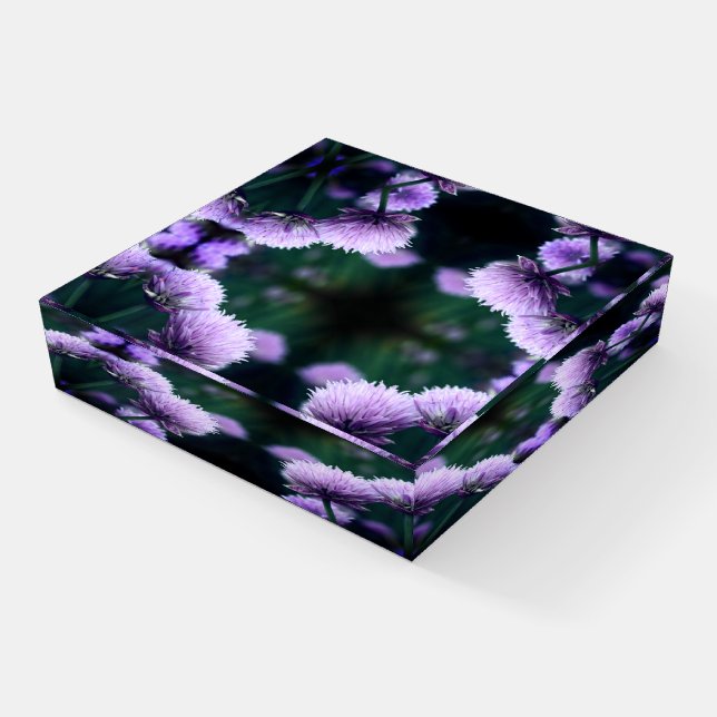 Flowering Purple Scallion Onion Close Up Abstract Paperweight (Angled)