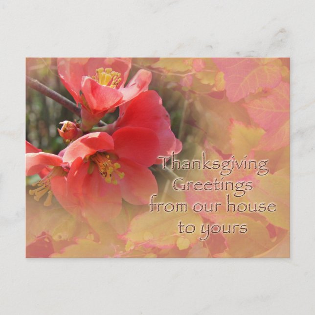 Flowering Quince - Chaenomeles speciosa Holiday Postcard (Front)
