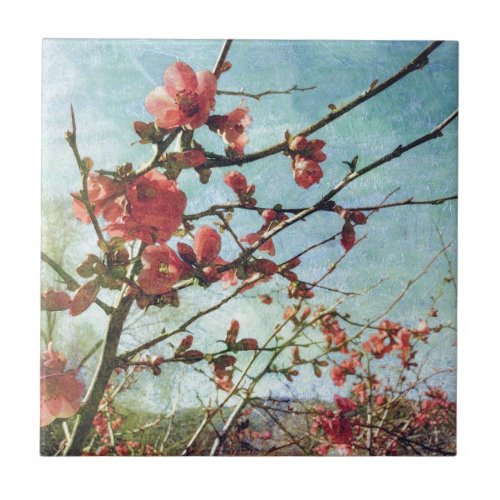 Flowering Quince Tile