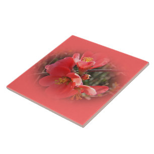 Flowering Quince Tree Tile