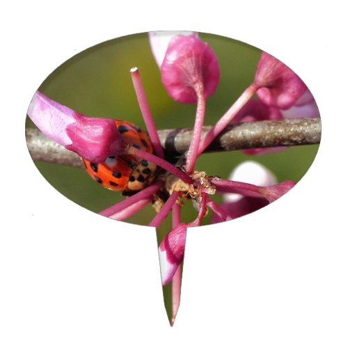 Flowering Redbud with Ladybug Cake Topper
