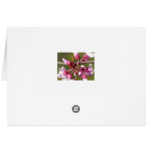 Flowering Redbud with Ladybug Cards (Back Horizontal)