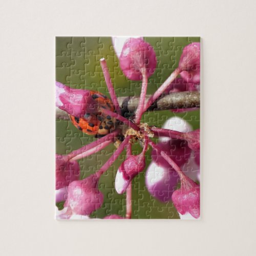 Flowering Redbud with Ladybug Jigsaw Puzzle