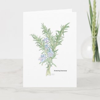 Flowering Rosemary Art Card