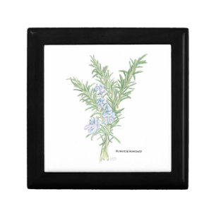 Flowering Rosemary Gift Box