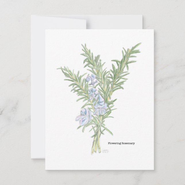 Flowering Rosemary Illustration Note Card (Front)