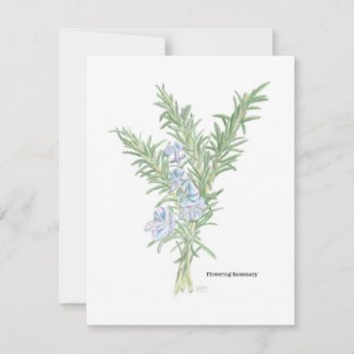 Flowering Rosemary Illustration Note Card