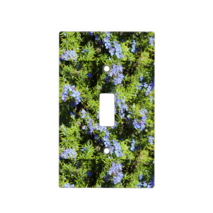 flowering rosemary light switch cover