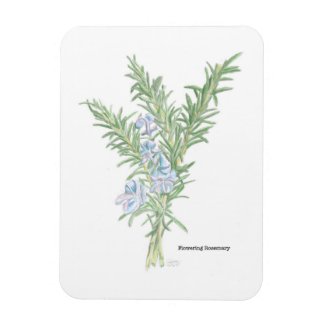 Flowering Rosemary Magnet