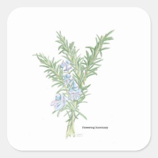 Flowering Rosemary Sticker