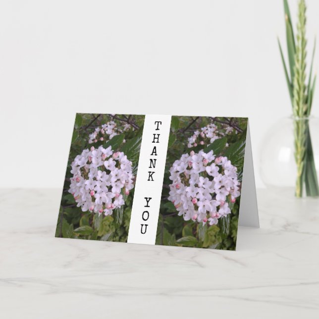 Flowering Shrub Floral Thank You Card (Front)
